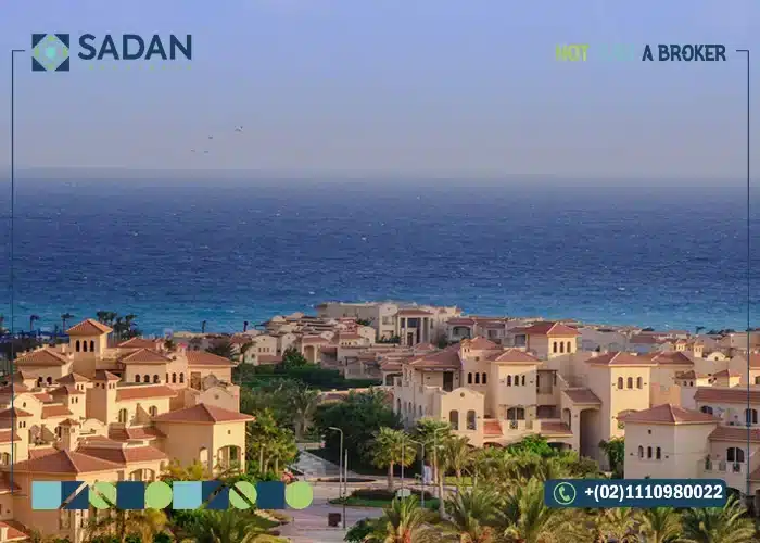 شركة لافيستا